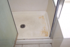 Hoenninger Shower-01