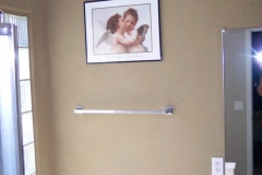 Hoenninger Shower-03