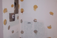 Hoenninger Shower-08